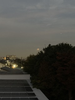 IMG-2392.jpg