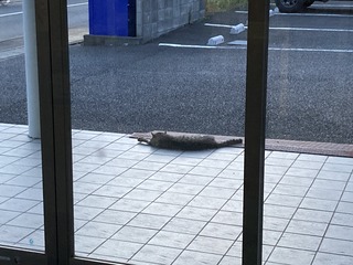 IMG-3569.jpg