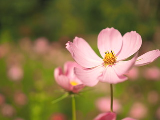OI000738.JPG